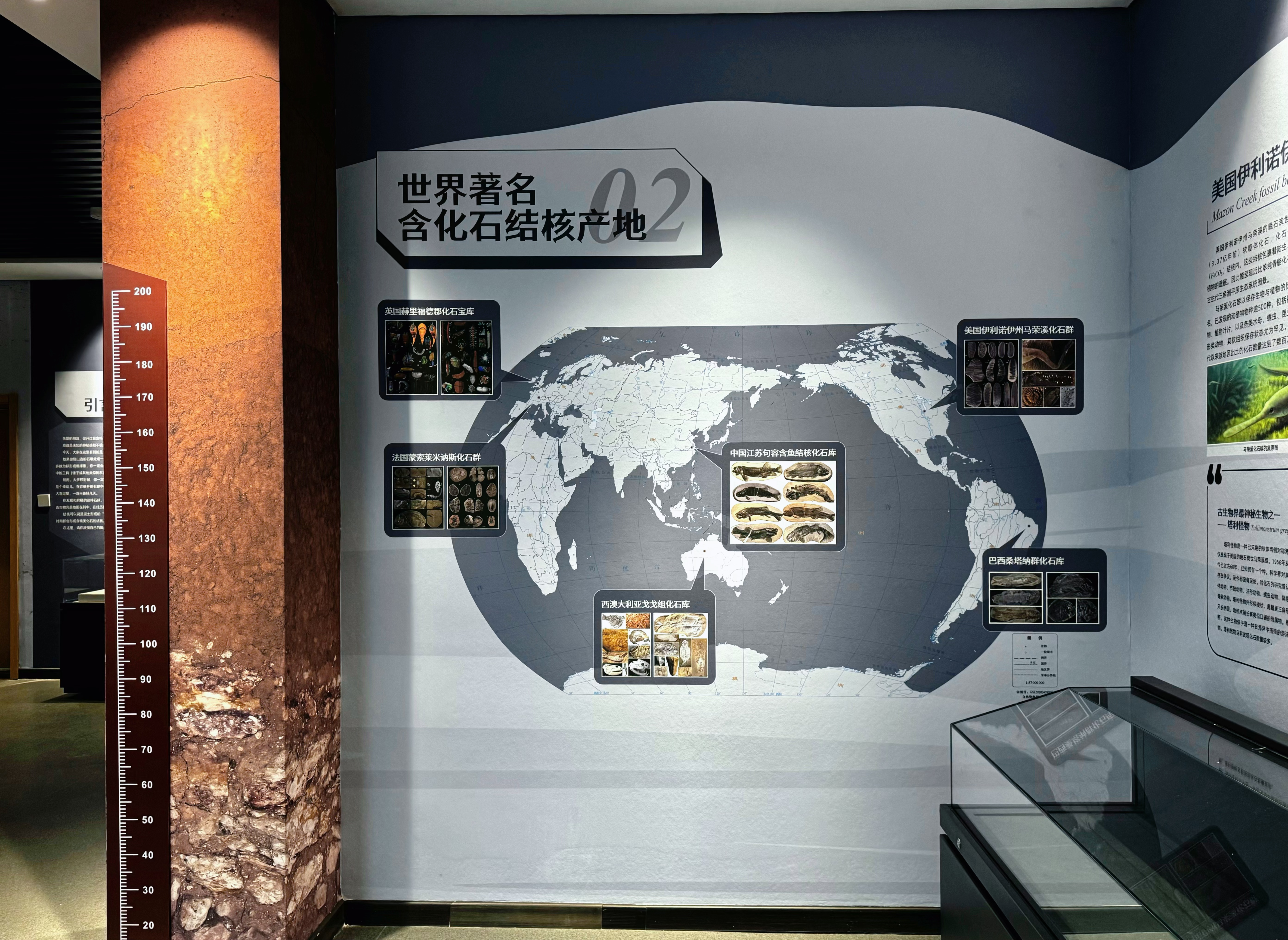 南京古生物【天作之核】实景展示