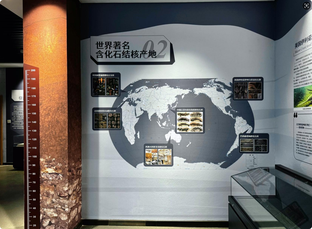 局部截取_20260430_135623.png